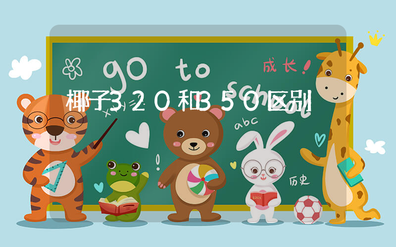 椰子320和350区别插图