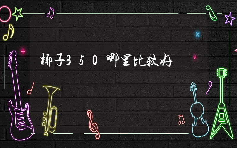 椰子350哪里比较好插图