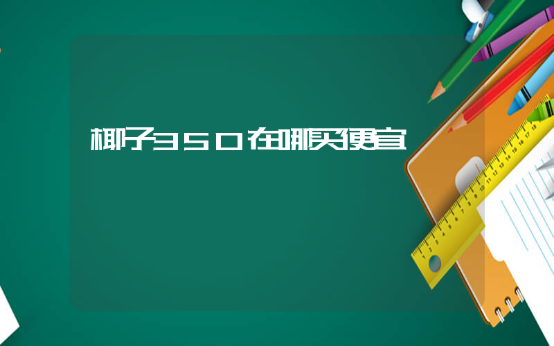 椰子350在哪买便宜插图