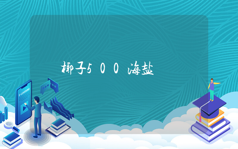 椰子500海盐插图