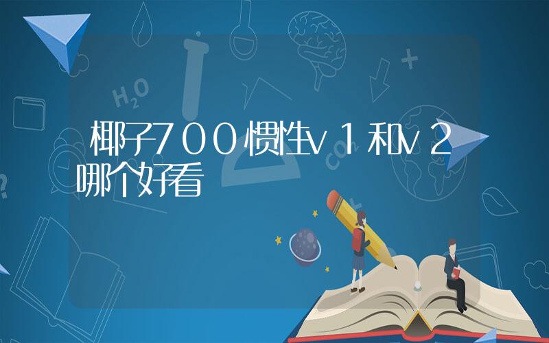 椰子700惯性v1和v2哪个好看插图