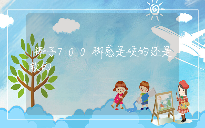 椰子700脚感是硬的还是软的插图