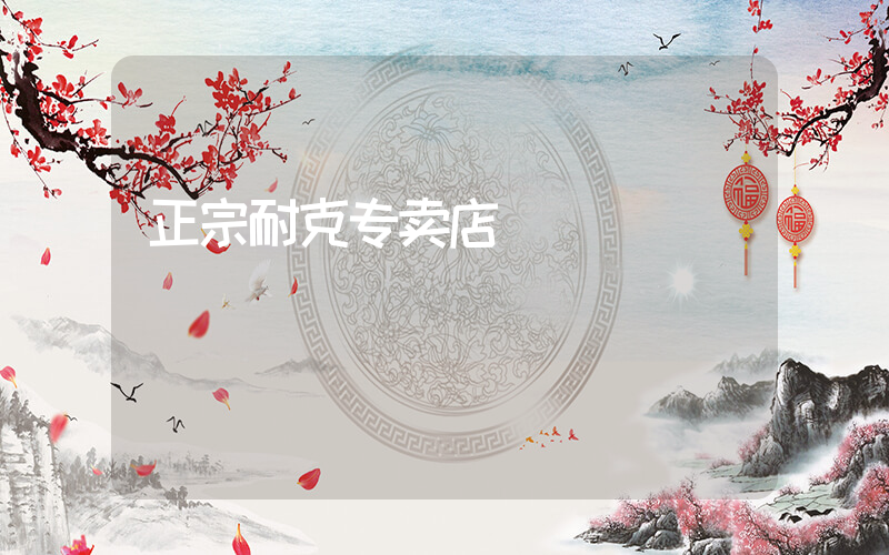正宗耐克专卖店插图