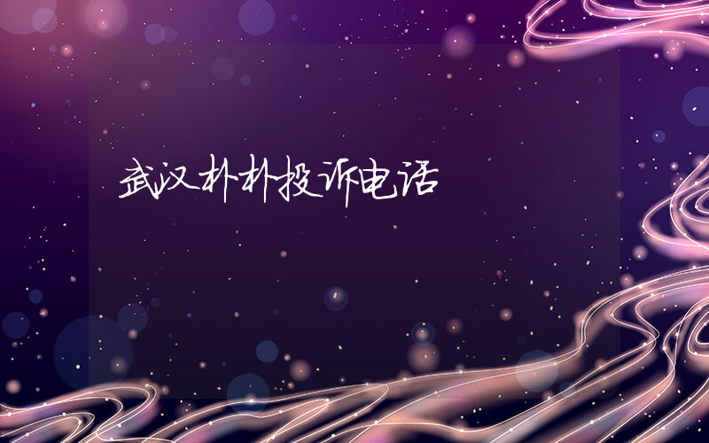 武汉朴朴投诉电话插图