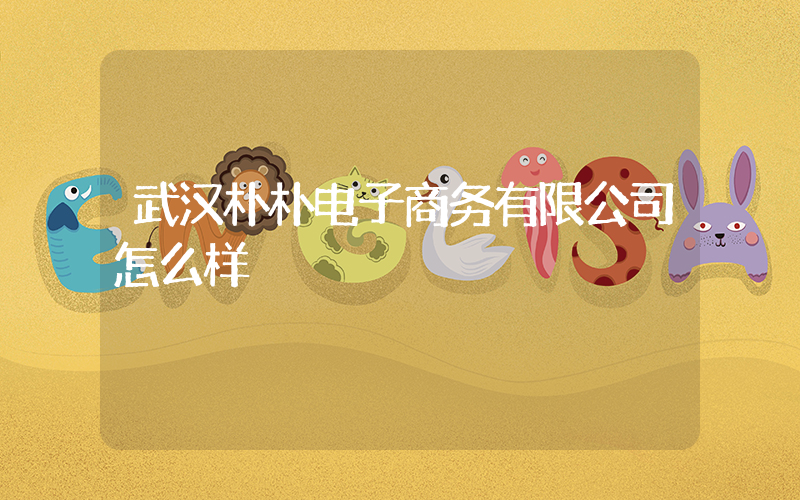 武汉朴朴电子商务有限公司怎么样插图