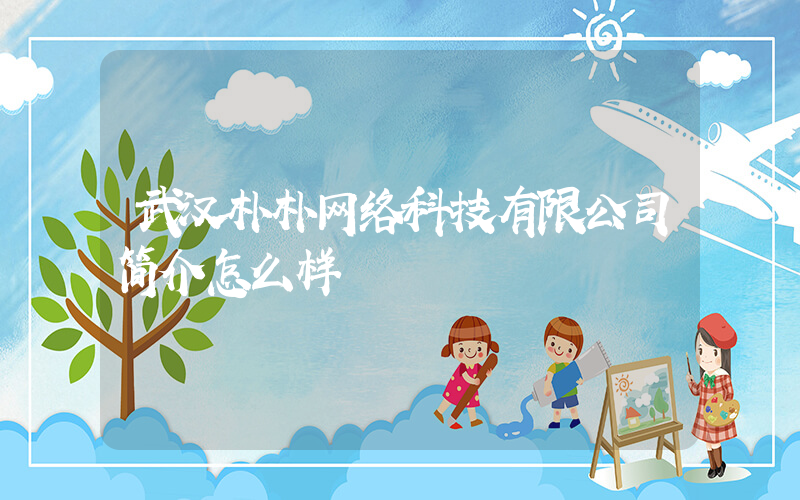 武汉朴朴网络科技有限公司简介怎么样插图