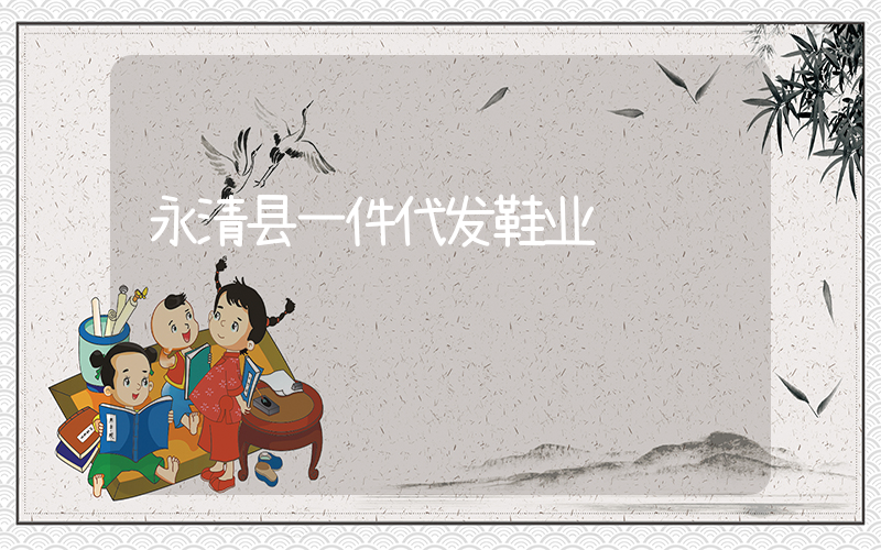 永清县一件代发鞋业插图