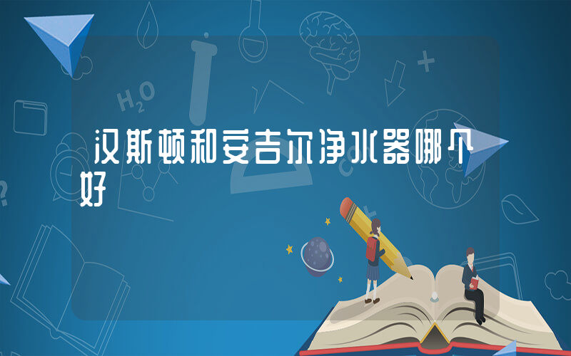 汉斯顿和安吉尔净水器哪个好插图