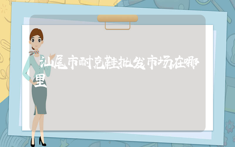 汕尾市耐克鞋批发市场在哪里插图