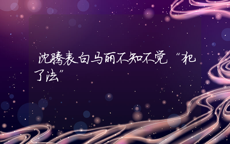 沈腾表白马丽不知不觉“犯了法”插图