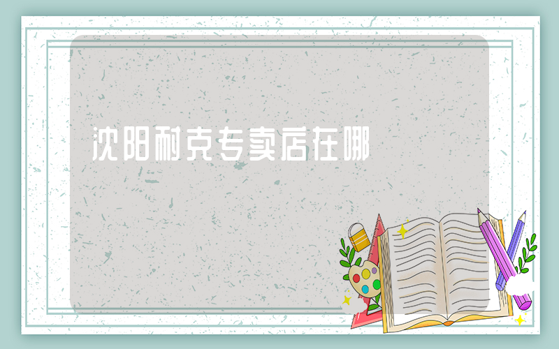 沈阳耐克专卖店在哪插图