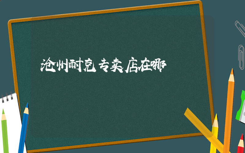 沧州耐克专卖店在哪插图