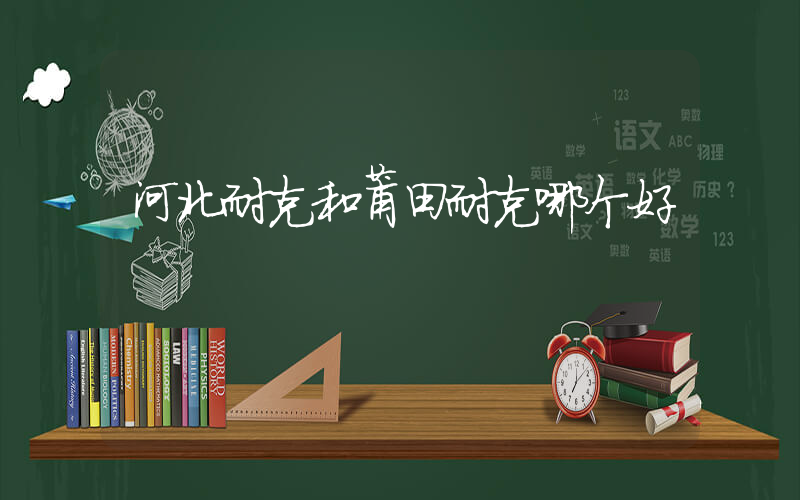 河北耐克和莆田耐克哪个好插图
