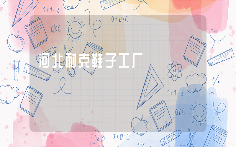 河北耐克鞋子工厂插图