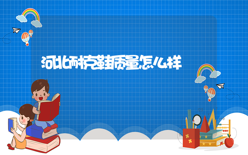 河北耐克鞋质量怎么样插图