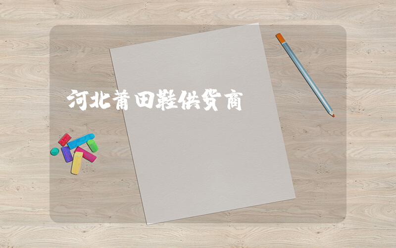 河北莆田鞋供货商插图