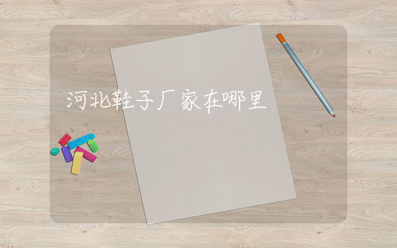 河北鞋子厂家在哪里插图