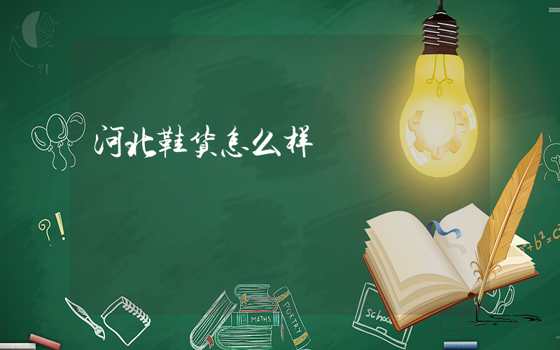 河北鞋货怎么样插图