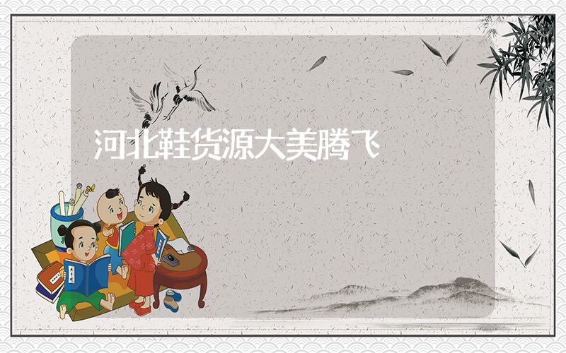 河北鞋货源大美腾飞插图