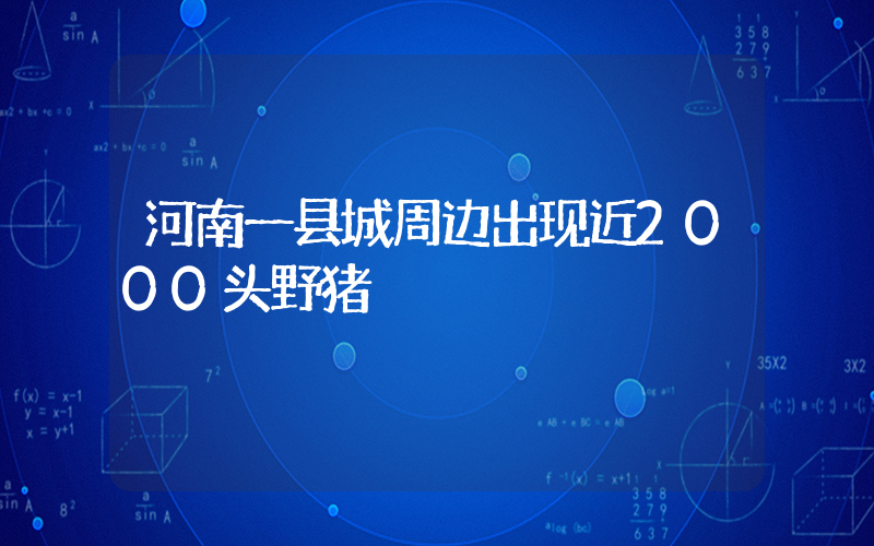 河南一县城周边出现近2000头野猪插图