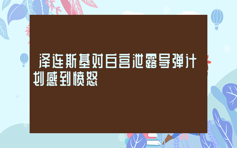 泽连斯基对白宫泄露导弹计划感到愤怒插图