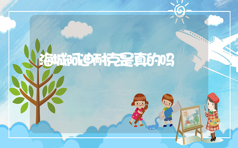 海城阿迪耐克是真的吗插图