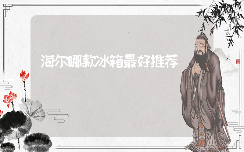 海尔哪款冰箱最好推荐插图