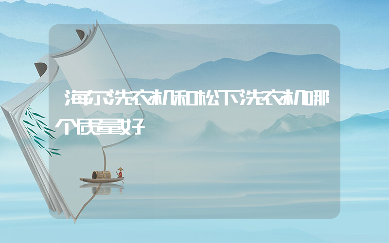 海尔洗衣机和松下洗衣机哪个质量好插图