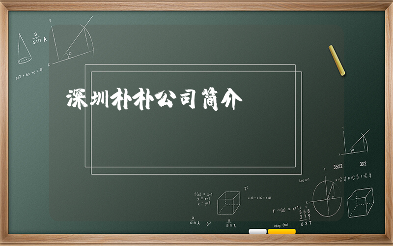 深圳朴朴公司简介插图