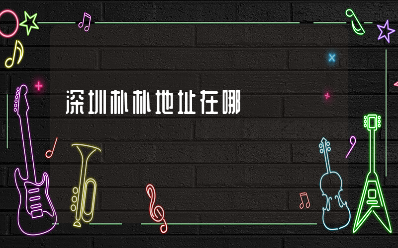 深圳朴朴地址在哪插图 深圳朴朴地址在哪插图