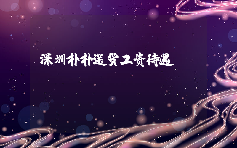 深圳朴朴送货工资待遇插图