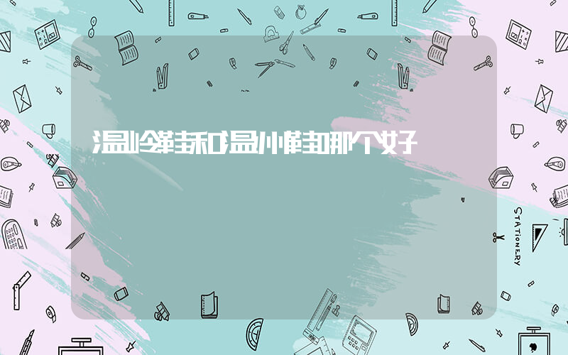 温岭鞋和温州鞋哪个好插图