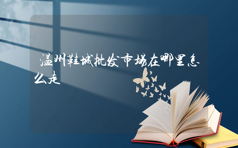 温州鞋城批发市场在哪里怎么走插图