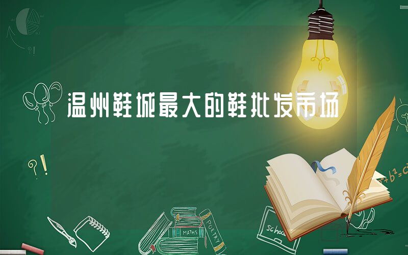 温州鞋城最大的鞋批发市场插图