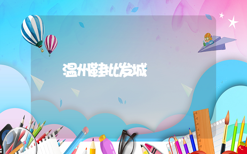 温州鞋批发城插图