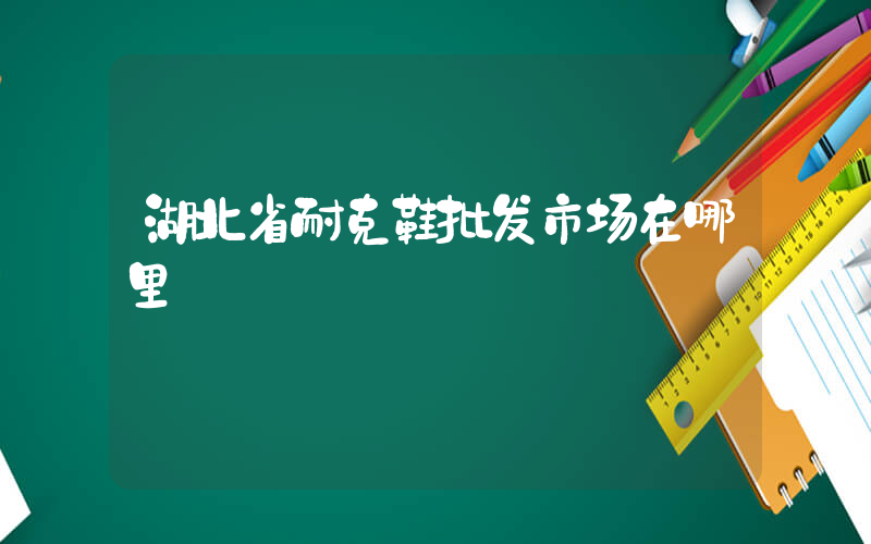 湖北省耐克鞋批发市场在哪里插图