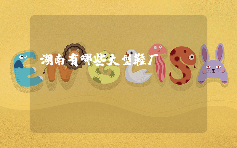 湖南有哪些大型鞋厂插图