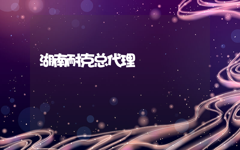 湖南耐克总代理插图