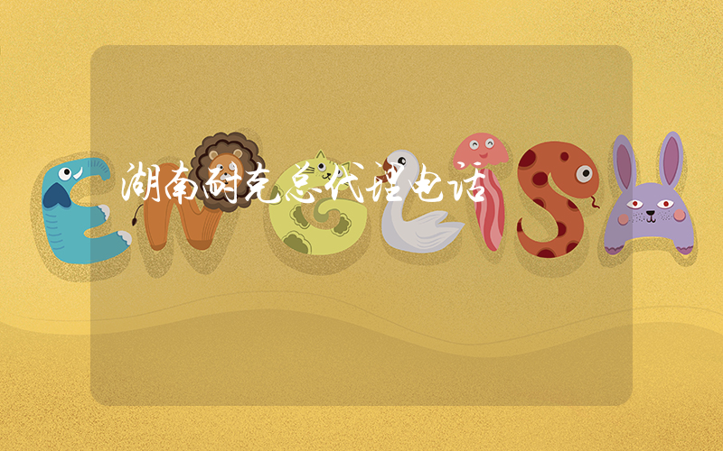 湖南耐克总代理电话插图