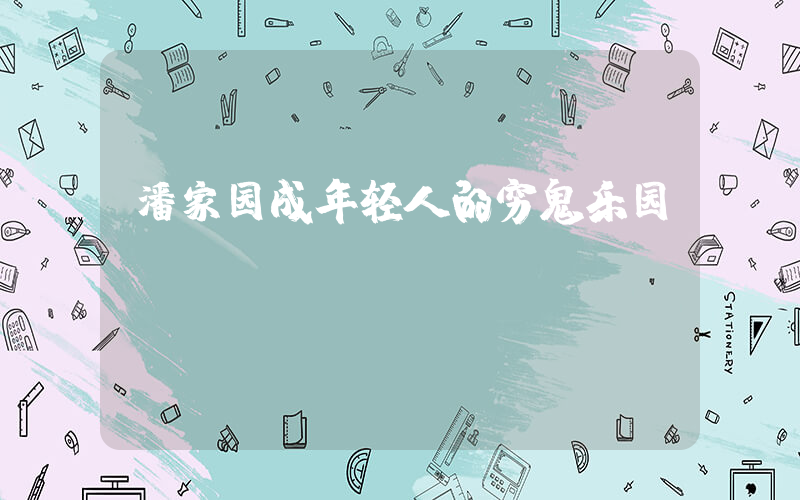 潘家园成年轻人的穷鬼乐园插图