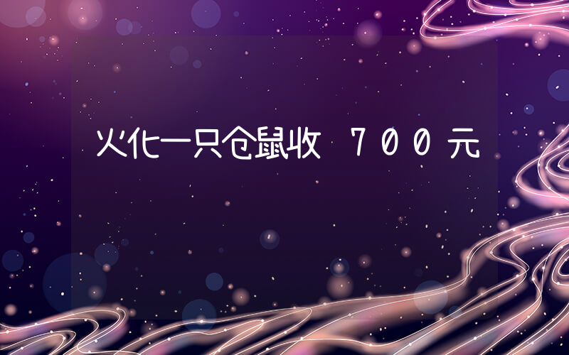 火化一只仓鼠收费700元插图 火化一只仓鼠收费700元插图