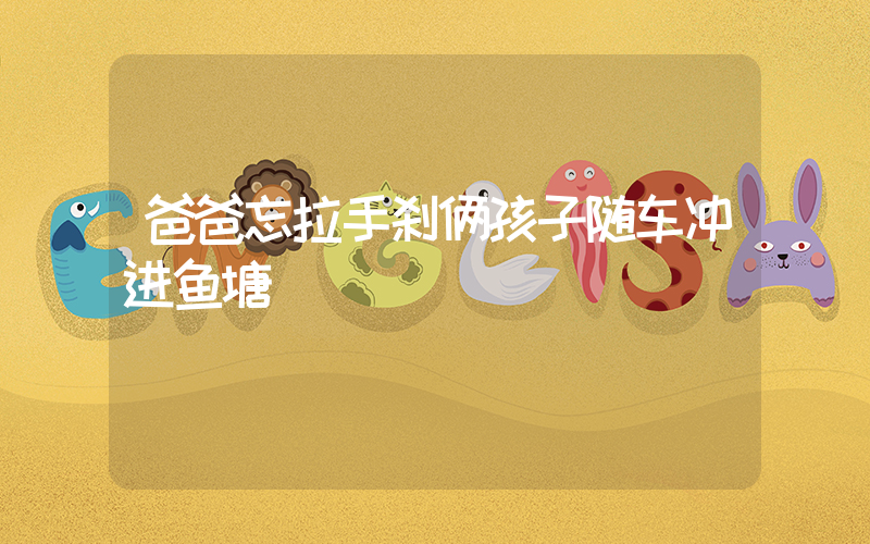 爸爸忘拉手刹俩孩子随车冲进鱼塘插图