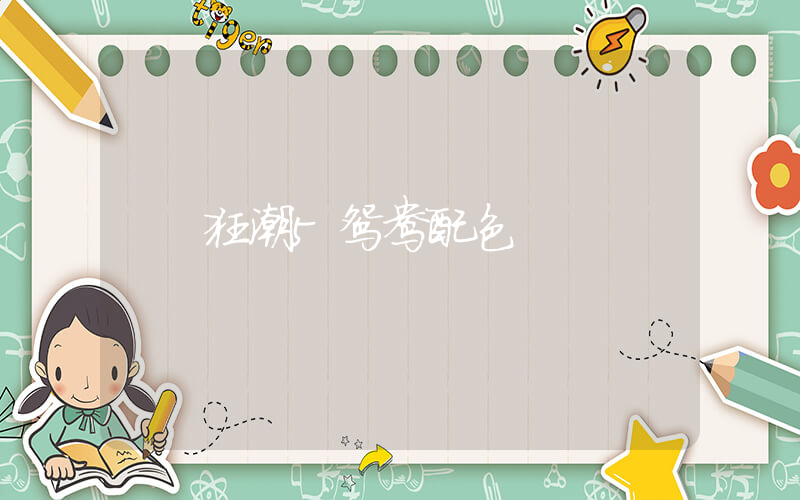 狂潮5鸳鸯配色插图