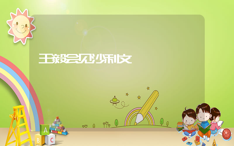 王毅会见沙利文插图