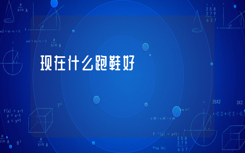 现在什么跑鞋好插图