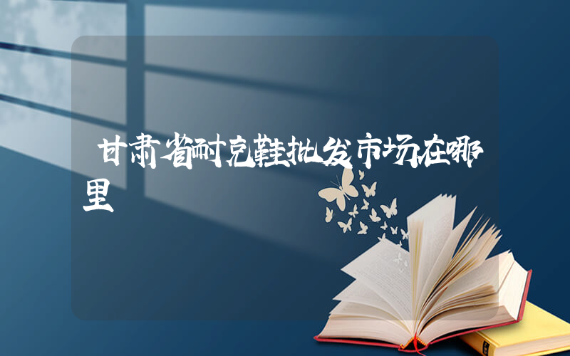 甘肃省耐克鞋批发市场在哪里插图