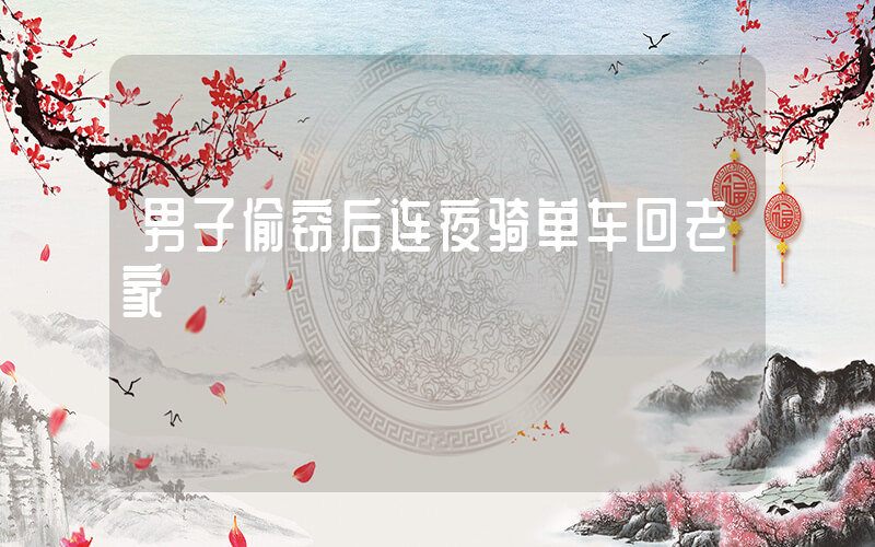 男子偷窃后连夜骑单车回老家插图