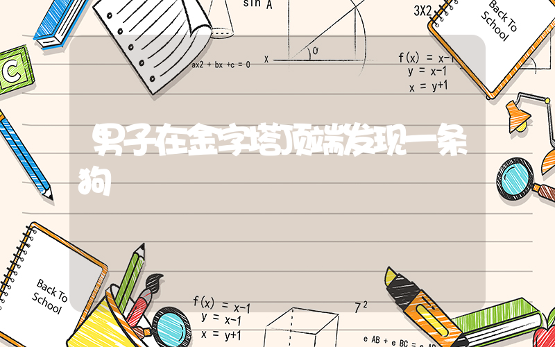 男子在金字塔顶端发现一条狗插图