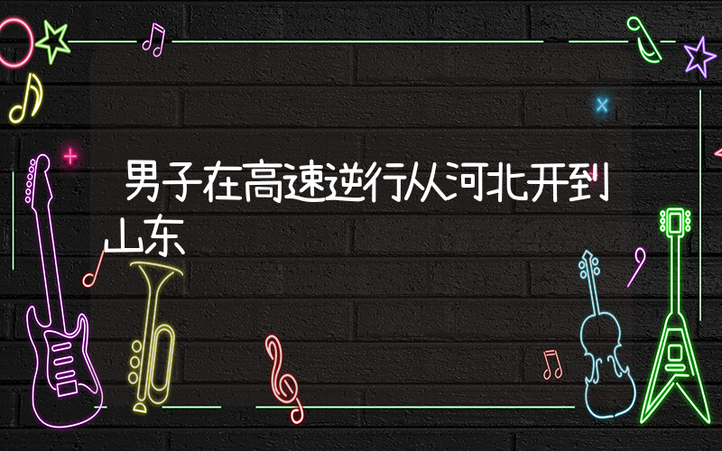 男子在高速逆行从河北开到山东插图