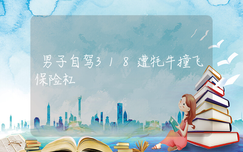男子自驾318遭牦牛撞飞保险杠插图